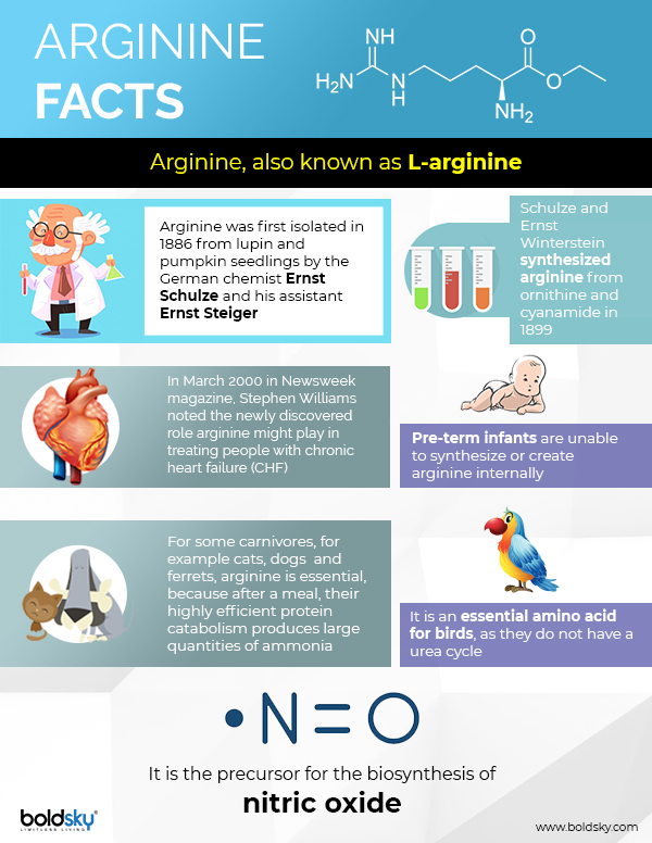 arginine facts