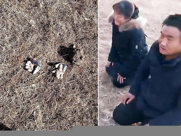 Girl’s Corpse Was Stolen For This! Girl’s Corpse Was Stolen For This!