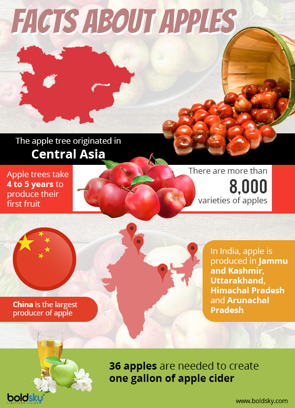 apple fruit benefits infographic