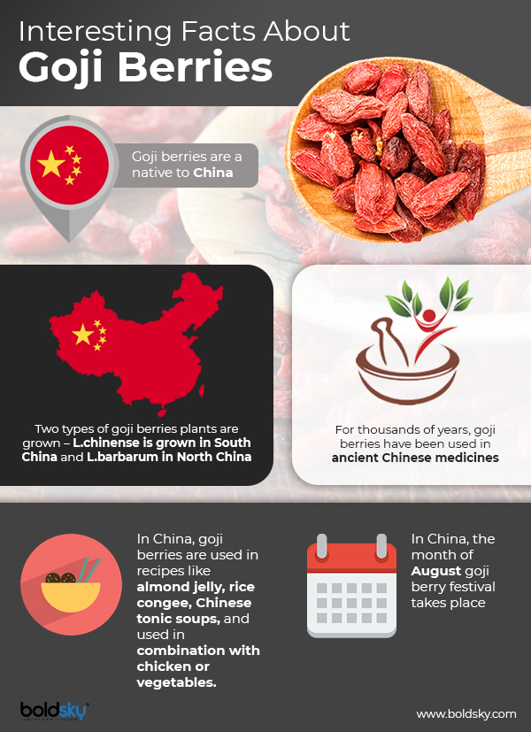 health benefits of goji berries infographic