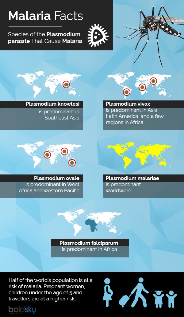 malaria infographic
