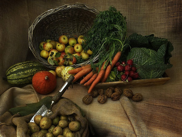 ayurveda for spring ayurveda for spring