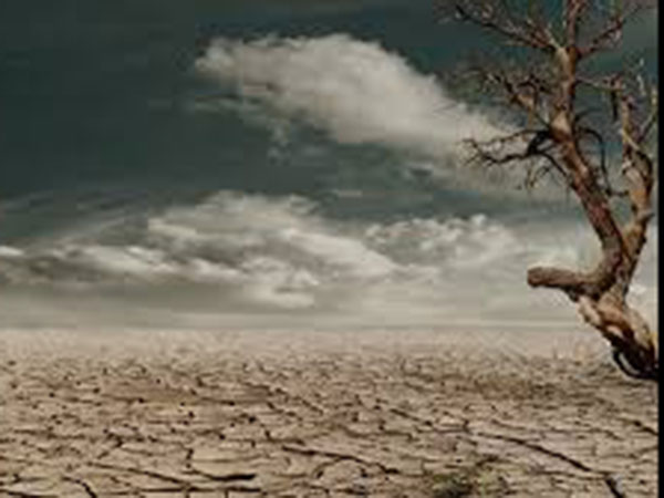 Drought In Janakpuri