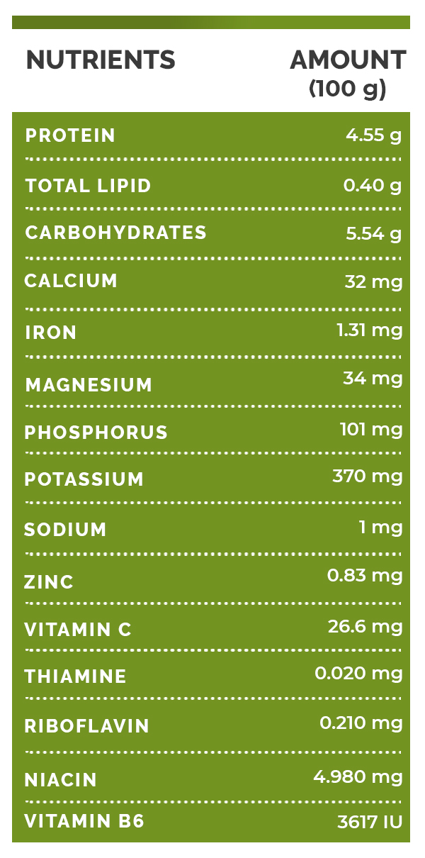 fiddlehead ferns nutrition