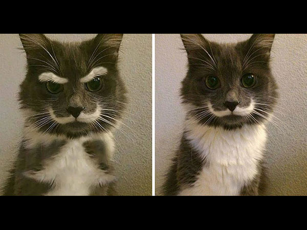 This Is Just An Edited Photo!