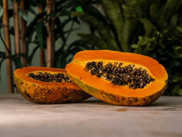 Papaya Seeds Papaya Seeds