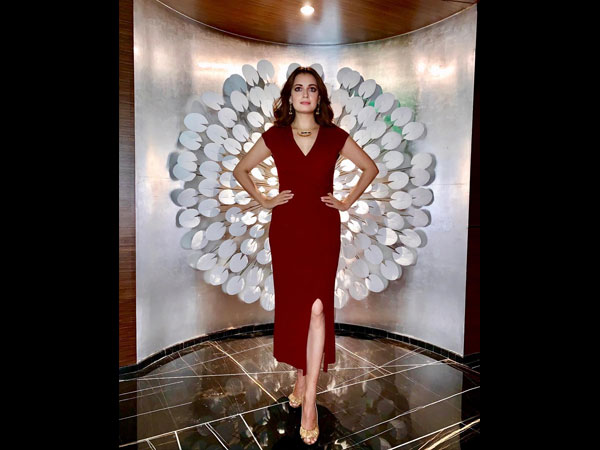 Dia Mirza Style Dia Mirza Style