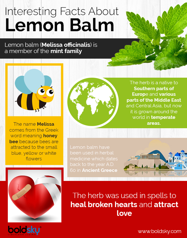 lemon balm uses lemon balm uses