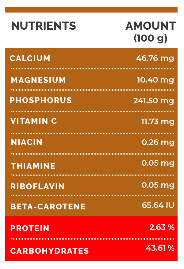 Papaya Seeds Papaya Seeds