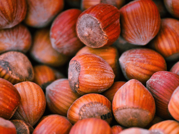 raw hazelnuts benefits