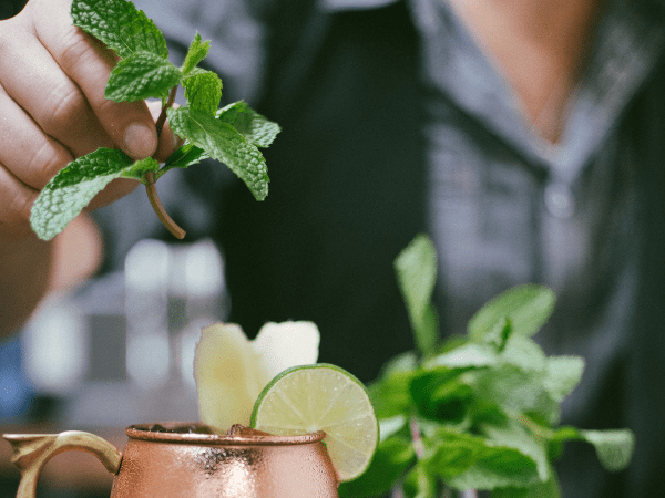 mint leaves recipes mint leaves recipes