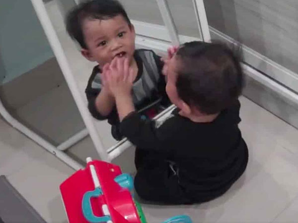 The Man Shared The Video Online