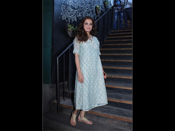 Dia Mirza Style Dia Mirza Style