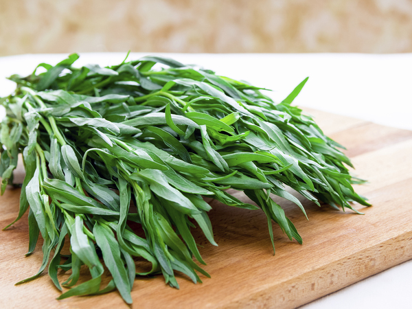 Tarragon Tarragon
