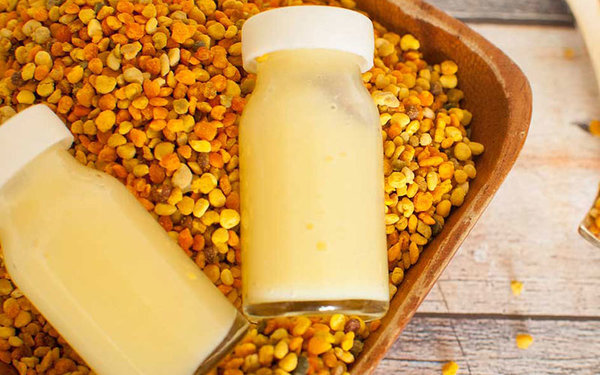 Royal Jelly Royal Jelly