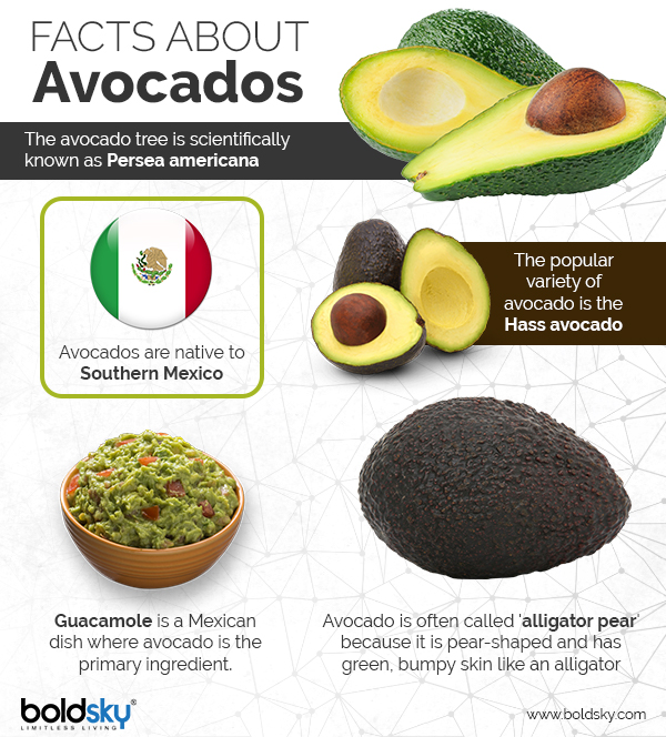 Avocado
