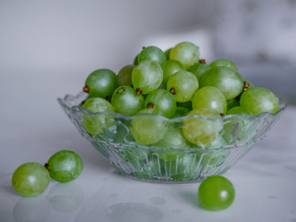 World No Tobacco Day