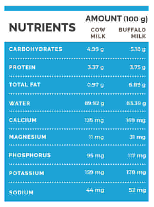 cow milk vs buffalo milk cow milk vs buffalo milk
