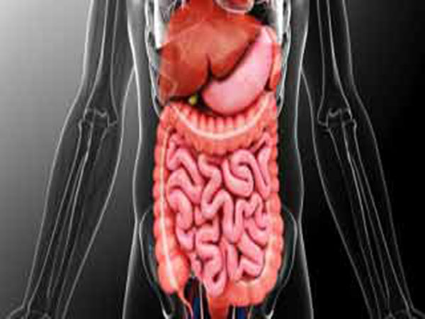 Whipple Disease Whipple Disease
