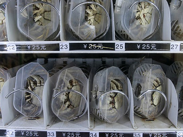 Crabs In Vending Machines