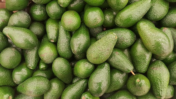 avo