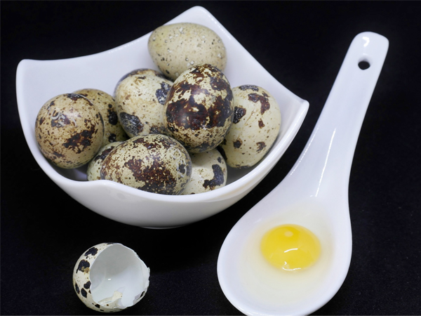 Quail Eggs Quail Eggs