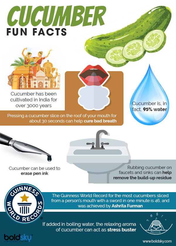 cucumber fun facts
