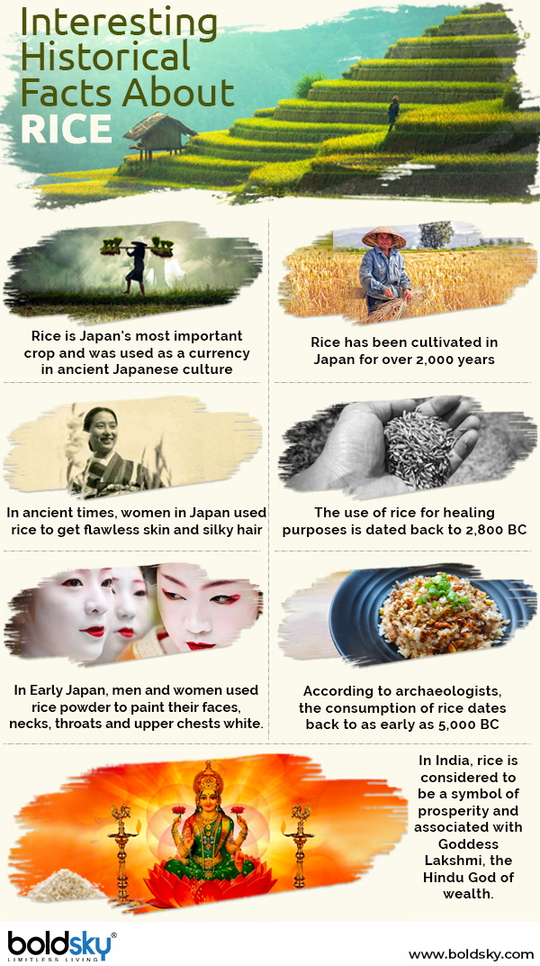 Rice facts