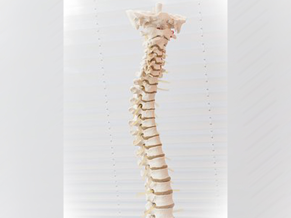 Spinal Stenosis