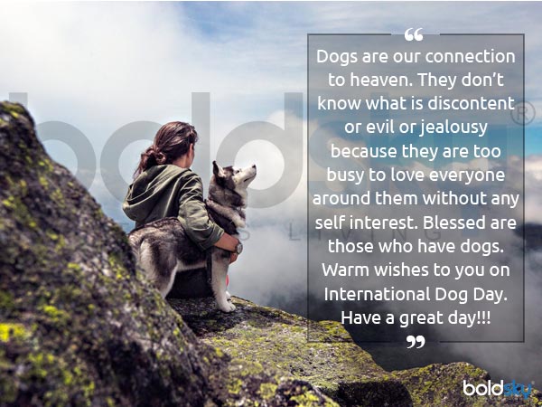 international dog day 2019