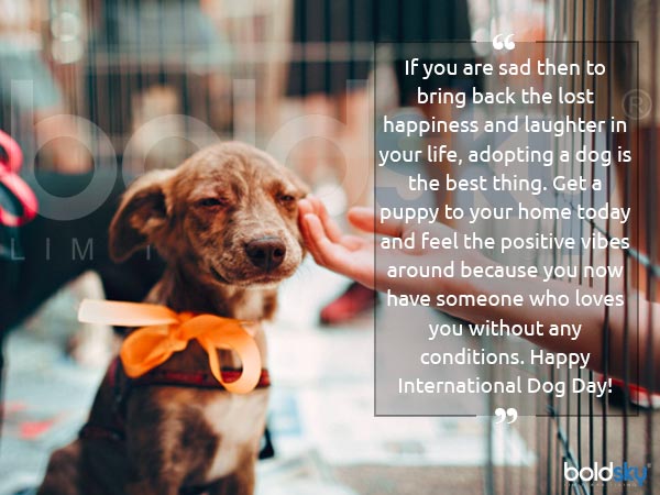 international dog day 2019