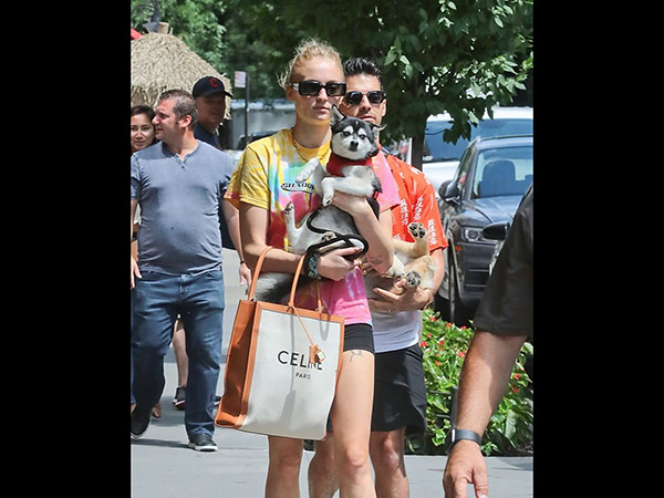 Sansa Stark Game Of Thrones