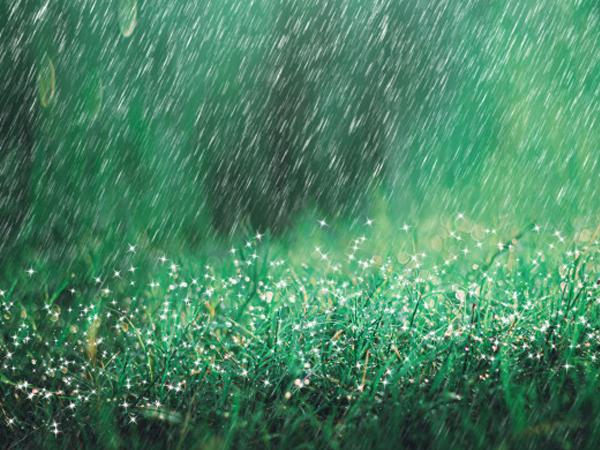 Unusual Things That Can Make You Happy