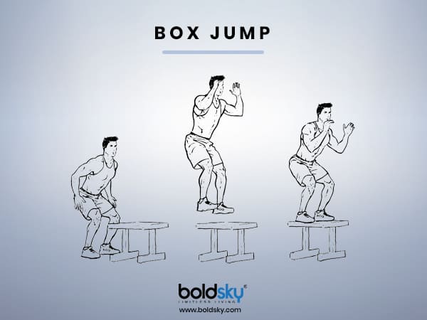 Quadriceps Exercises