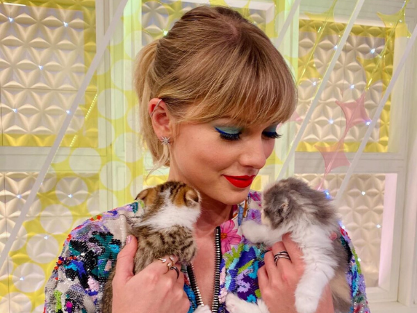 taylor swift taylor swift