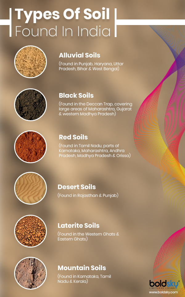 Impact Of Soil On Your Health