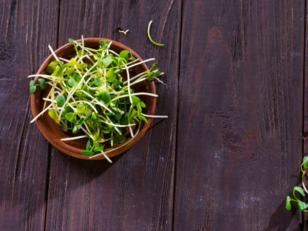 13. Alfalfa sprouts