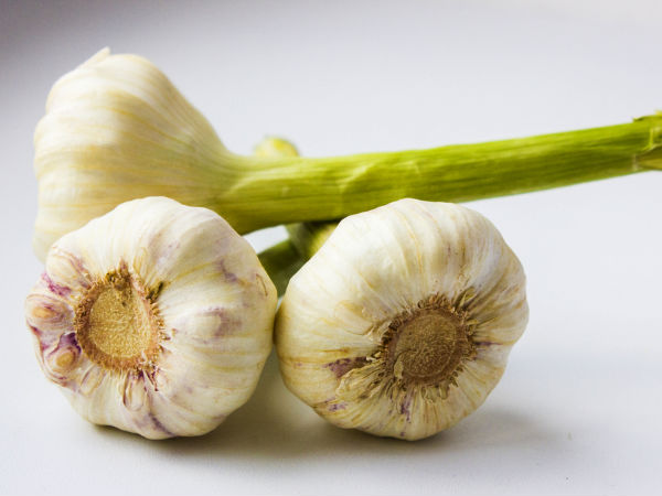 9. Garlic