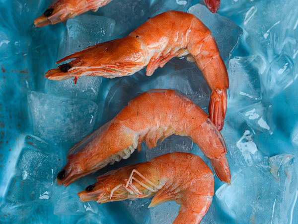 4. Shrimp