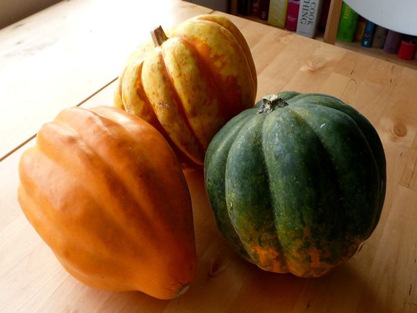 8. Acorn squash