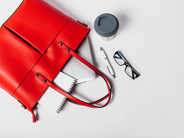 19. An Extraordinary Handbag