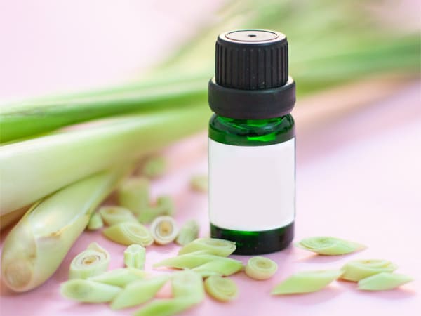 6. Citronella Oil