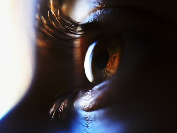 Papaya Leaves Prevent Cataract