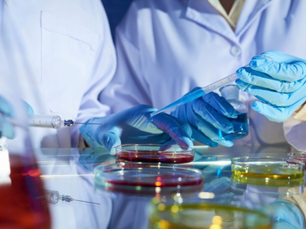 Complete Destruction Of Virus Within 48 Hours