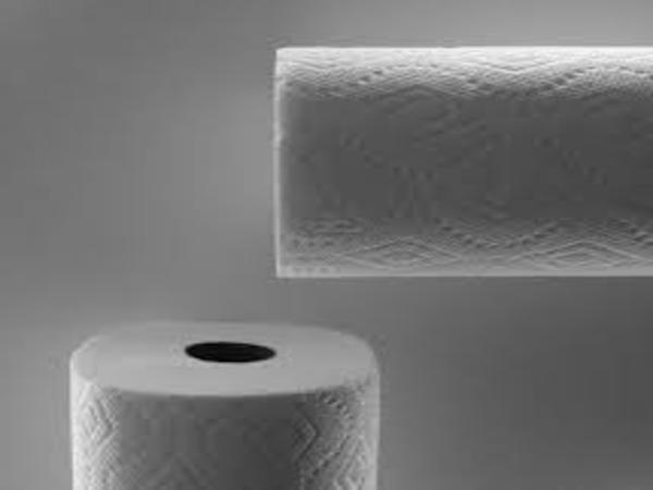 Why Disposable Paper Towel Is The Best Option?