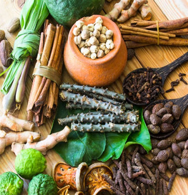 5. Herbal Therapies
