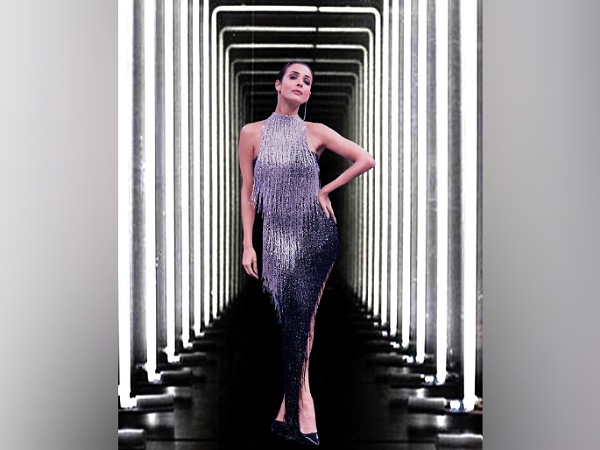 Malaika Arora In A Silver Sequin Dress