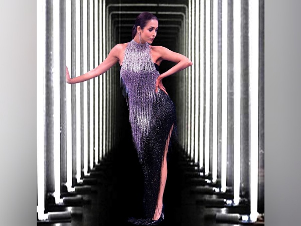 Malaika Arora In A Silver Sequin Dress