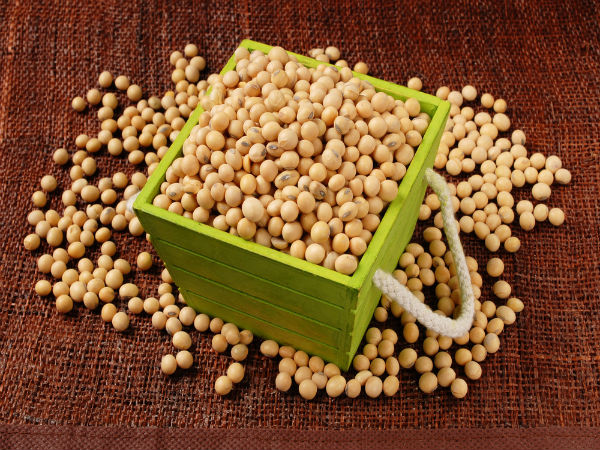 41. Soybean