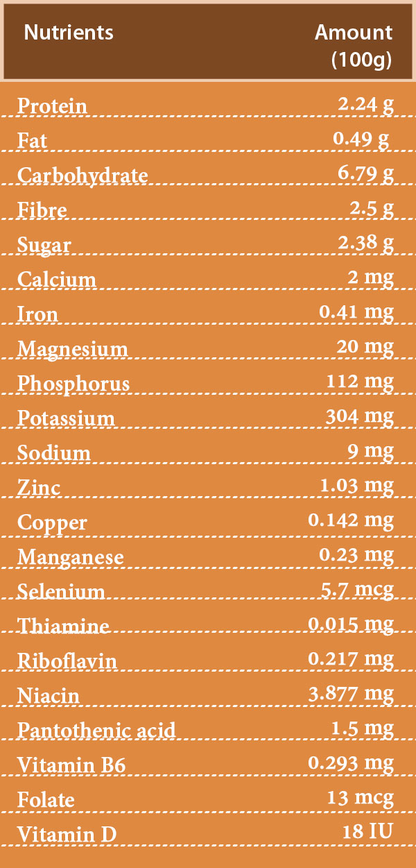  Shiitake Mushroom nutrition